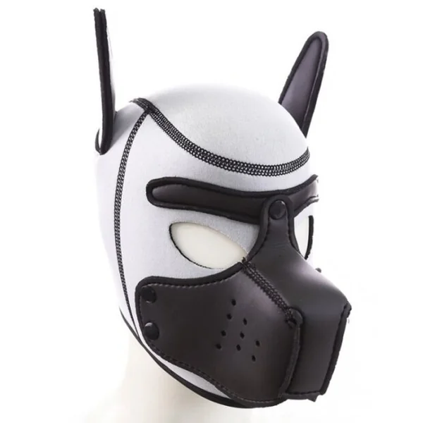 Next Product Image