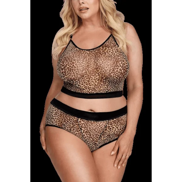 Previous Product Image